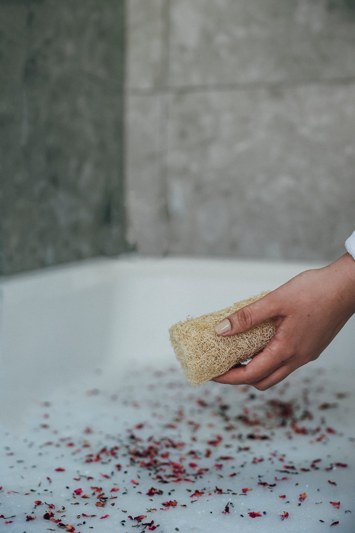 Natural Loofah