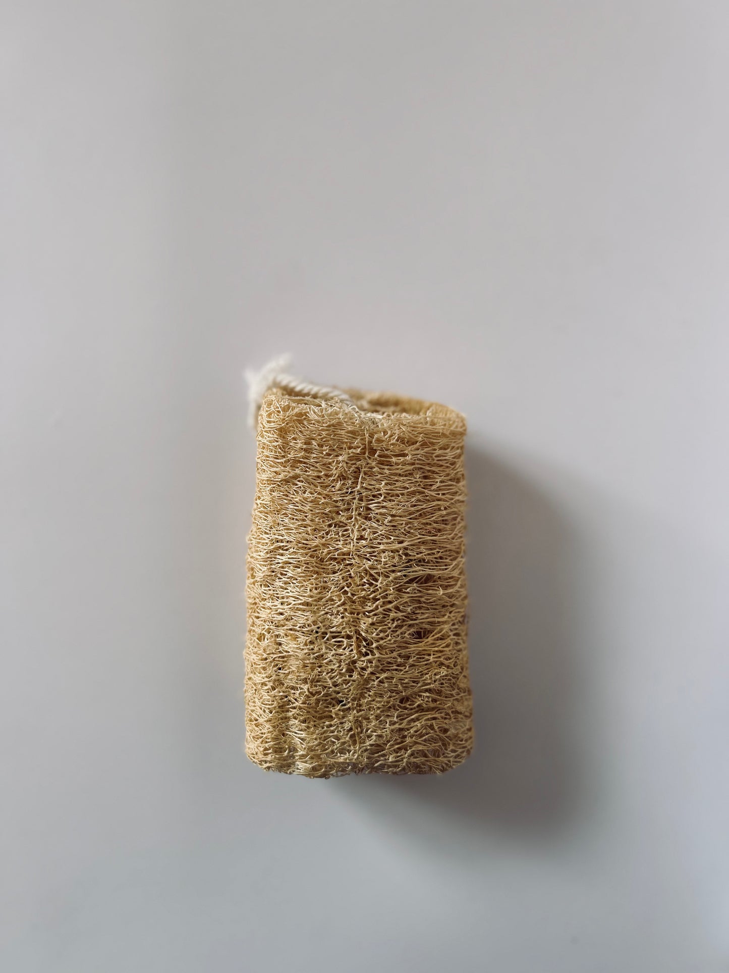 Natural Loofah